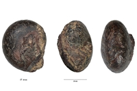 Puncticeras lagowiense